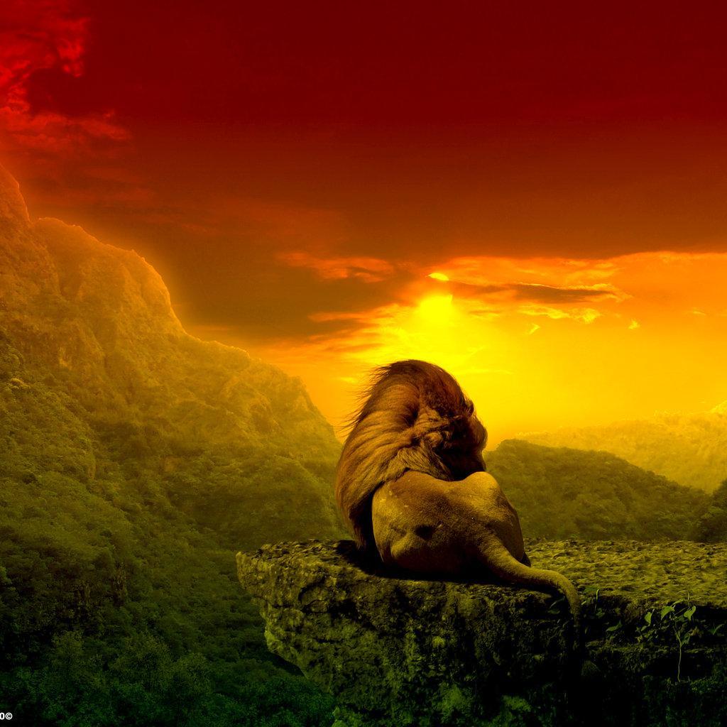 cortexvortex96's profile picture. 