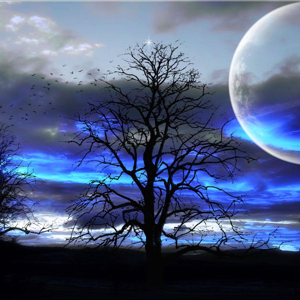 ismael140186's profile picture. 