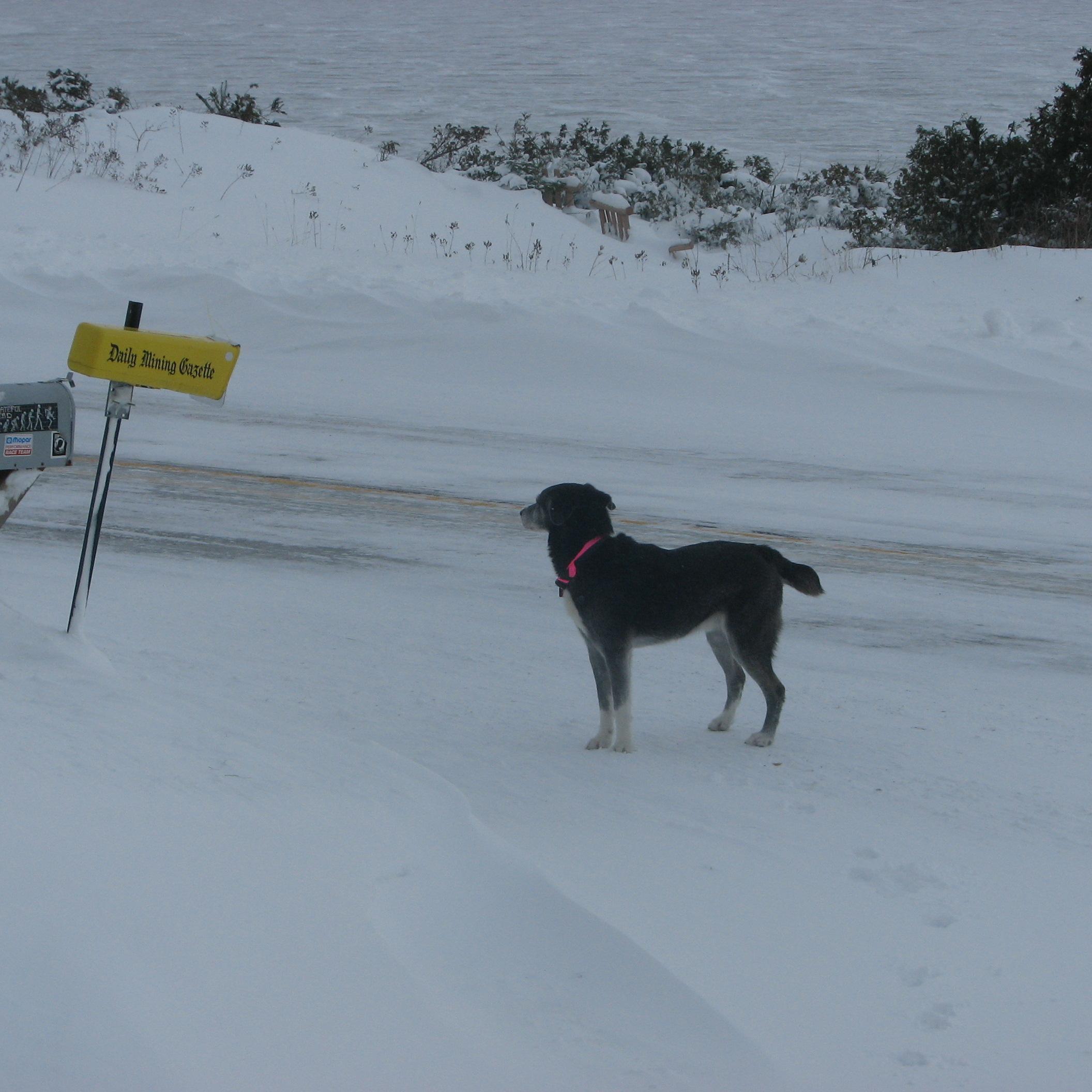 MikeTBobber's profile picture. 