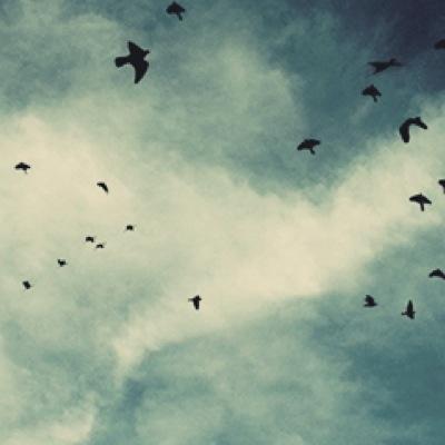 ExclusiveSad's profile picture. fuck you