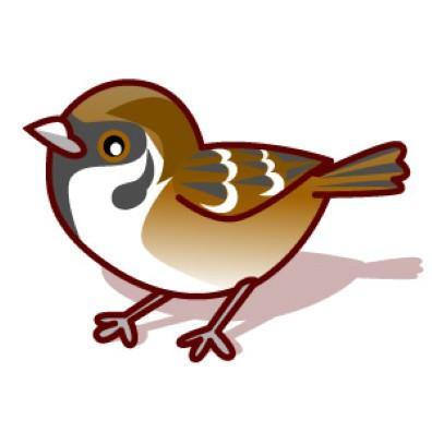 天野すずめ Amanophd Twitter 天野すずめ Amanophd Twitter