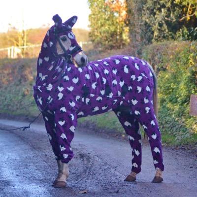 Bringing you animals with class and a little bit of swag!