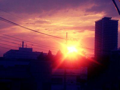 スマホで撮影してます。写真撮るのが好きです。自己満垢。