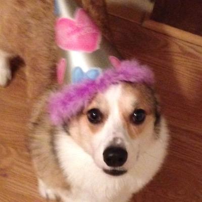 edwardapec Profile Picture