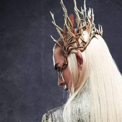 AnElvenKing's profile picture. When all that remained of his rose was a statue carved in stone, did his heart too become as hard. Such is the nature of evil, when foul things come forth.