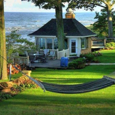 SINNVotanak's profile picture. 