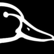 Ducks in space!