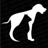 nappetindia's profile picture. 