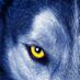 WolfMan (5.5k) (@wolfmansa) Twitter profile photo WolfMan (5.5k) (@wolfmansa) Twitter profile photo