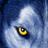 WolfManSA's profile image