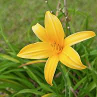 Practicing Oneness. WE ARE ALL ONE! Compassion, Love, Joy and Happiness is my motto.