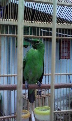 354245cf9368487's profile picture. 