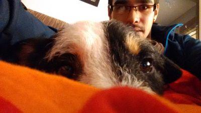 nestormy13's profile picture. 