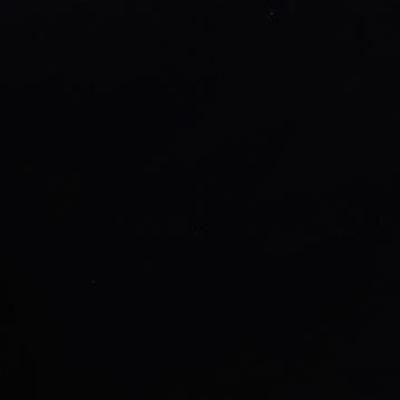 ShogShog19 Profile Picture
