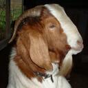 Hisako Fu - @DanielleBetti92 - Twitter