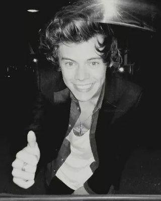 I  Love Harry !