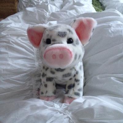 hatch_em's profile picture. I like corduroy pants.