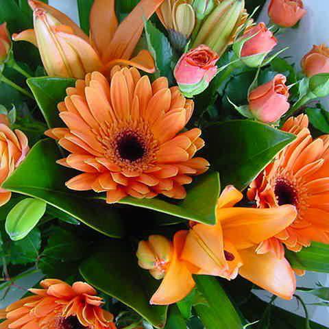 astrologer and nature cure therapy