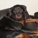 mark pollard - @MarkMarkpollard - Twitter