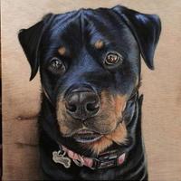 cipión (@cipion12) 's Twitter Profile