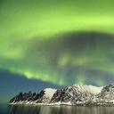 David Allemand - @wildpicture - Twitter