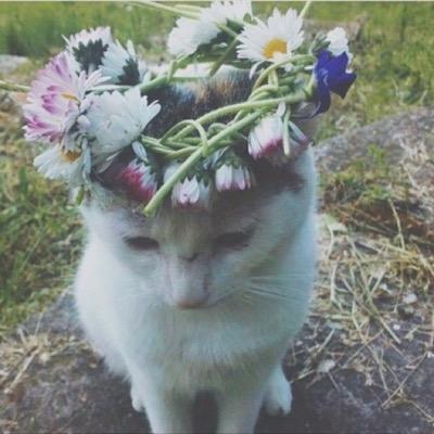 go_bos's profile picture. ‏فصول مكه سلوبي ١٧/١٥٨/٥٧ بنوتي