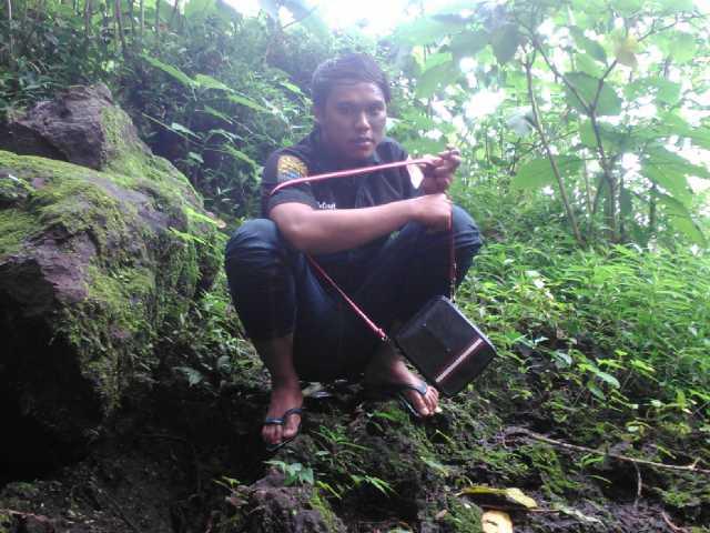 Slank slank slank