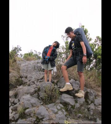 HAPPY ENDING FOUS OFFICIAL | I'm is Little Edelweis