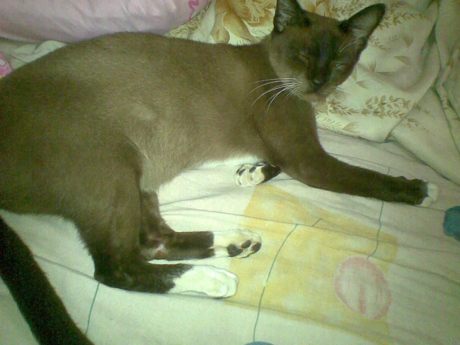 always be better than yesterday | Love papa | always remember and pray for my hainis tilawati |