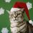 PawsForASec's profile image