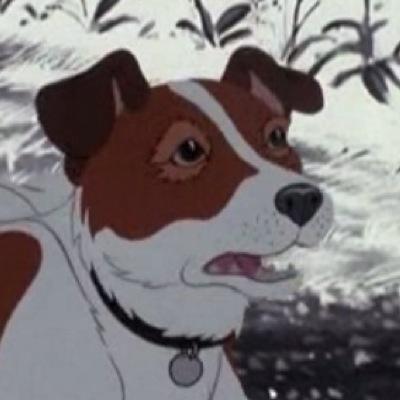 i'm Snitter, good old Rowf (@LyricalCurse) and I broke out of the animal research facility and swam to our island. Those damned whitecoats burned my head!!