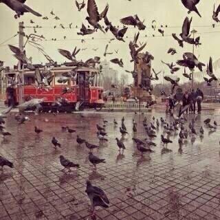 Nat3an's profile picture. اخبار قبيلة النطعان من الفهر.