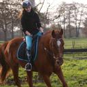 Jennifer Walz - @JenniferWalz - Twitter