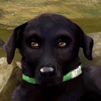 Rowf, an older mongrel. Rowf and @IOwnInsanity Escaped from the whitecoats by swimming to their Island. I can't stand the water!