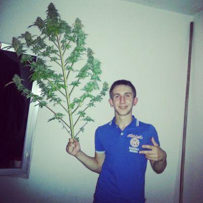 ribeira manda hijos de putaa!! vivee lo kee sueñass pa kee tus sueños se agan realidad!...MaNteNLo cRiMiNaL!!!