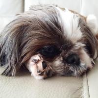 철학자..ㅋ (95jack) (@95jack95jack) 's Twitter Profile Photo 철학자..ㅋ (95jack) (@95jack95jack) 's Twitter Profile Photo