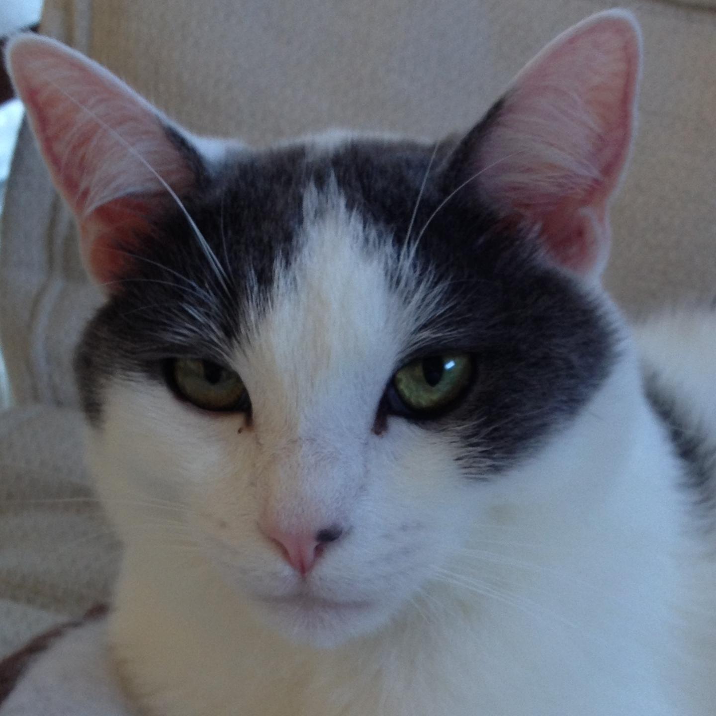 es_martinez68's profile picture. 