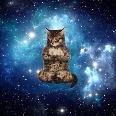 We are the children of the moon. We are the creatures of the night. We are the stardust beneath your eyes.