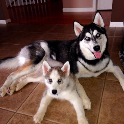 BGUTHRIE86's profile picture. 