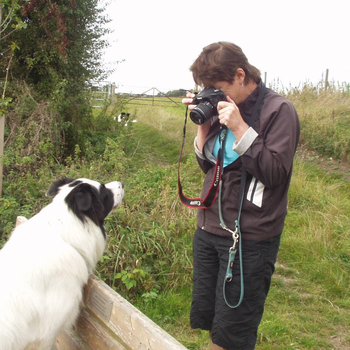 Dogs | Food | Scenery