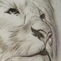 A Abdelmuneim (@a_abdelmunim) Twitter profile photo