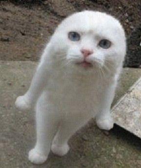 平和に暮らすのよ