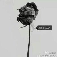 Alex. Turing (@turingalex) Twitter profile photo