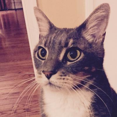 akaFattie's profile picture. @individu_ali pretends she owns me