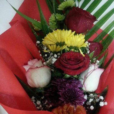 alhatmiheeba's profile picture. 