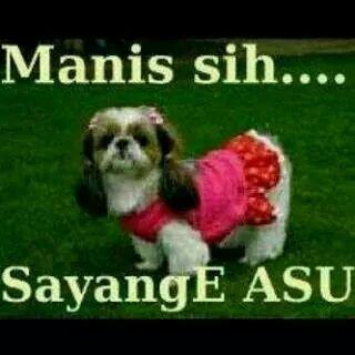 Wanita tersabar ke 7 versi on the sport :D
