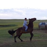 Baajaa (@baajaatm2588) 's Twitter Profile