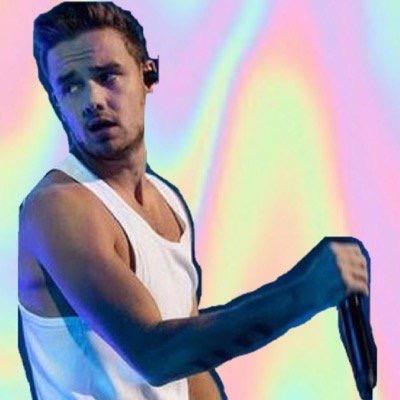 another day, another slay --- liam payne enthusiast
