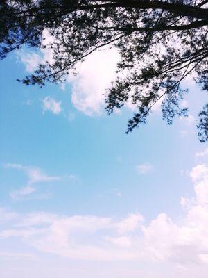 AlMunawwarah25's profile picture. Trying to be better than yesterday...  ☆