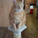 Cathy elam - @sunnyside1800 - Twitter